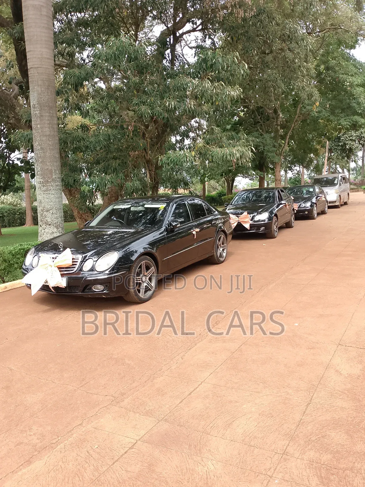 Benz for Hire. Executive Drives, Airport Pick Ups, Weddings