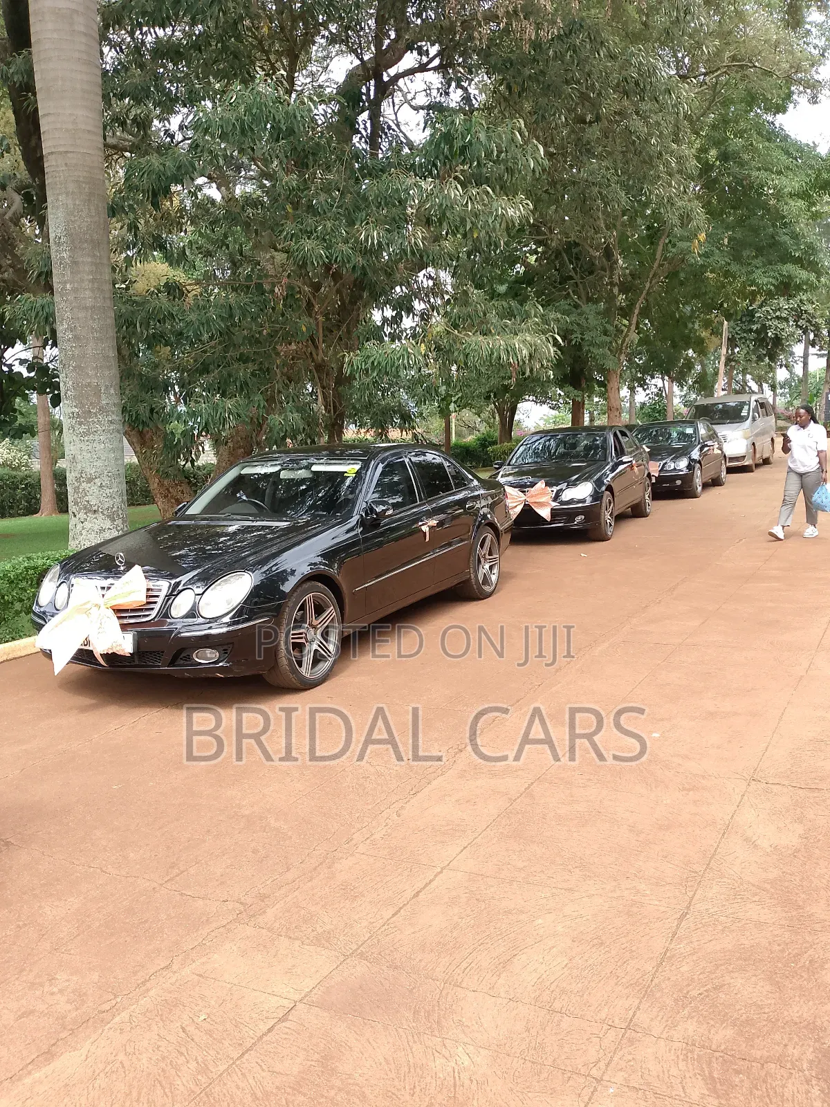 Benz for Hire. Executive Drives, Airport Pick Ups, Weddings