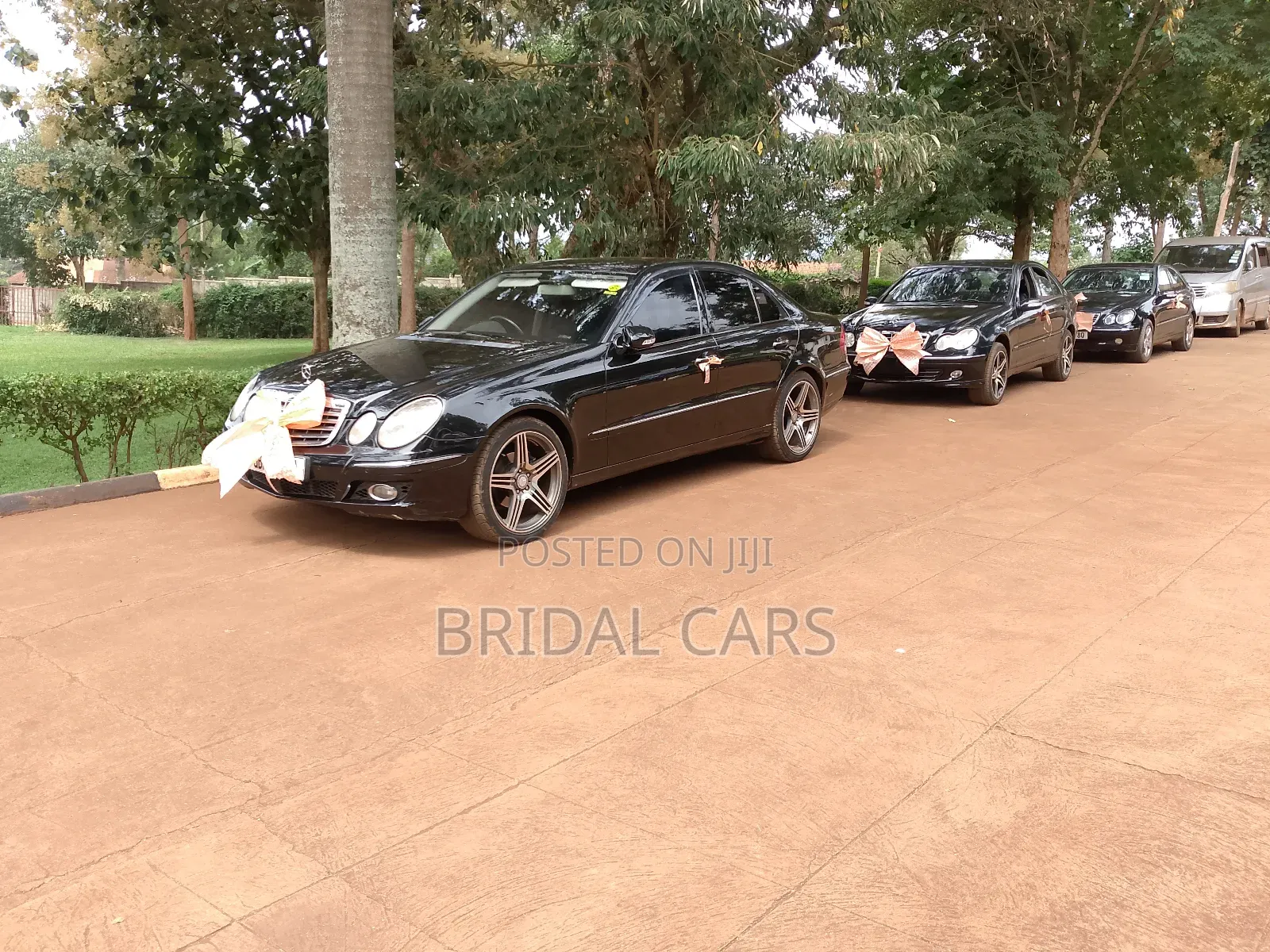 Benz for Hire. Executive Drives, Airport Pick Ups, Weddings