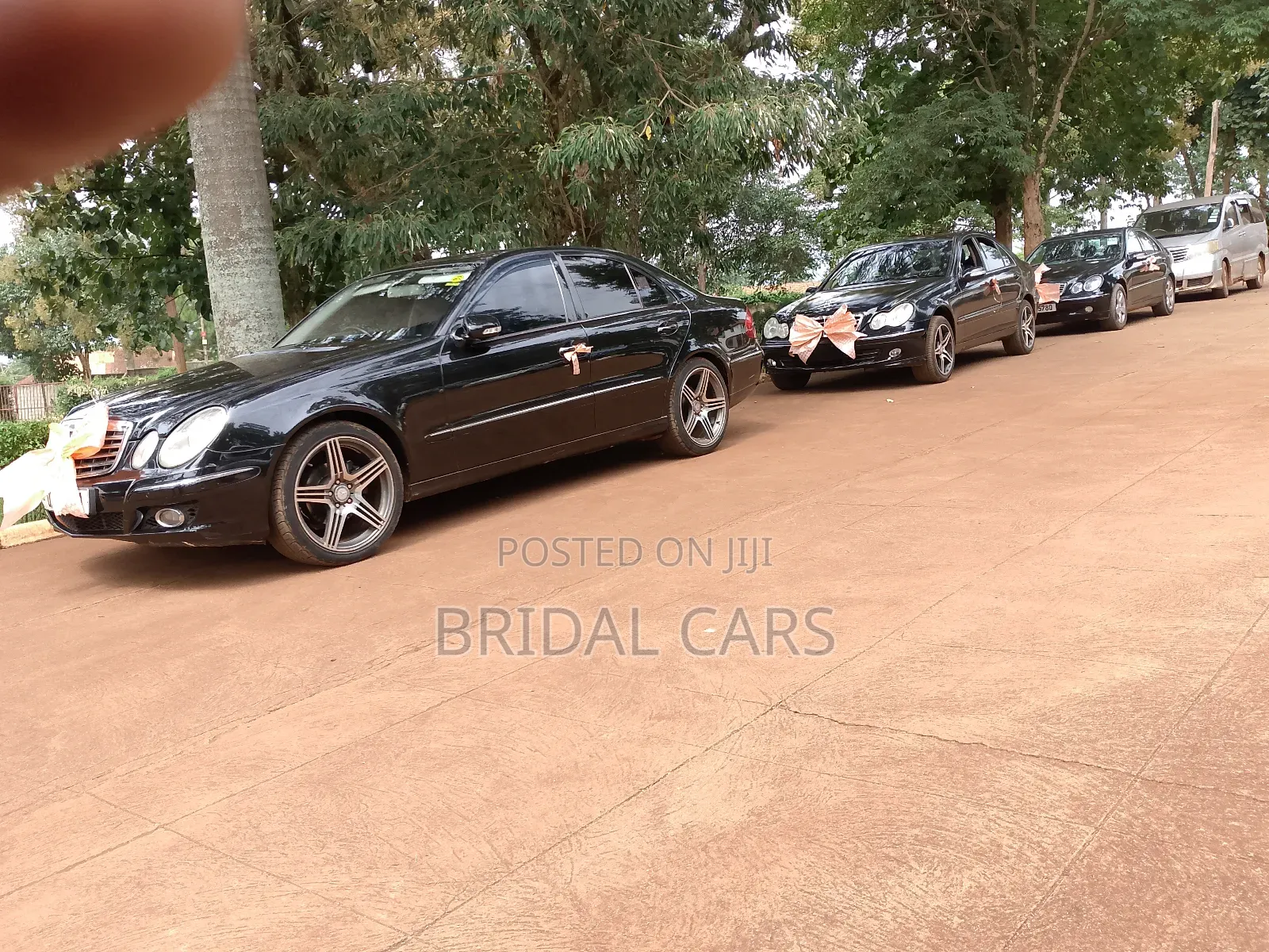 Benz for Hire. Executive Drives, Airport Pick Ups, Weddings