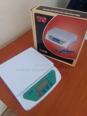 Table Top Kitchen Weighing Scales 30kg Weigh Fruits Weighing Scale
