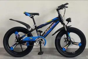 Aslong Bicycle Blue Size 20 10 Years Plus