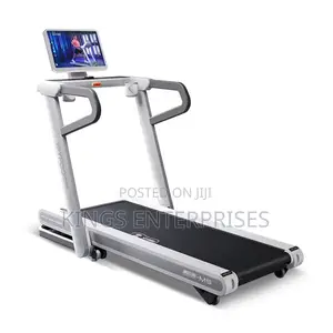 2 in 1 Commercial Electric Treadmill