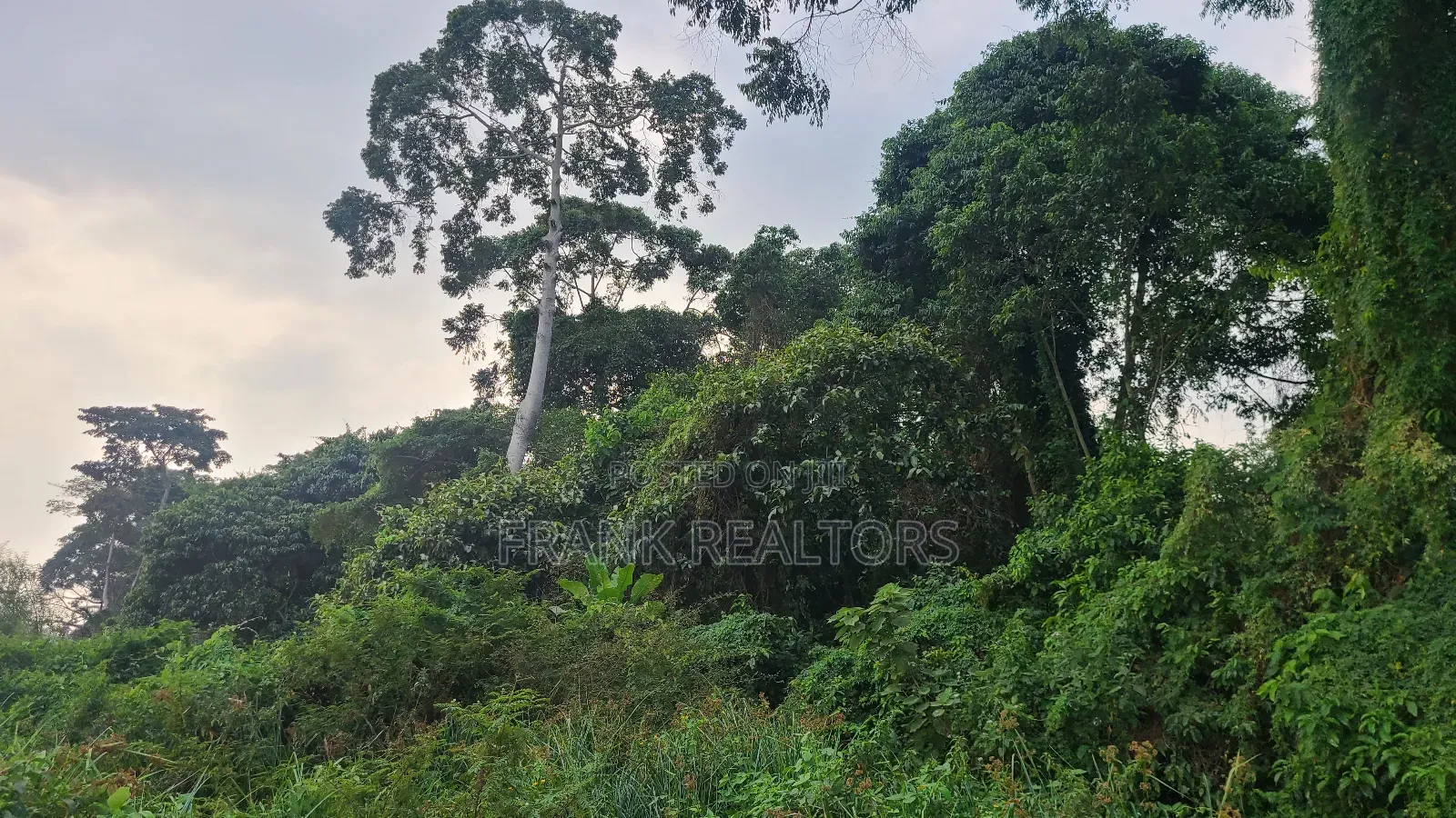 5.3 Acers of Beach Land All Fenced in Entebbe Kawuku