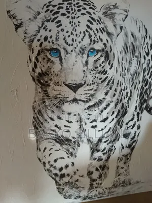 Paintings in Full Color