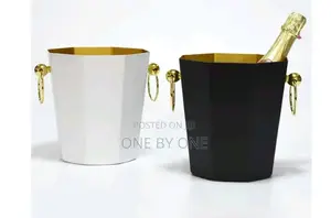 Stainless Steel Ice Bucket With Handle for Champagne.