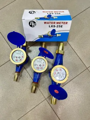 Water Meter