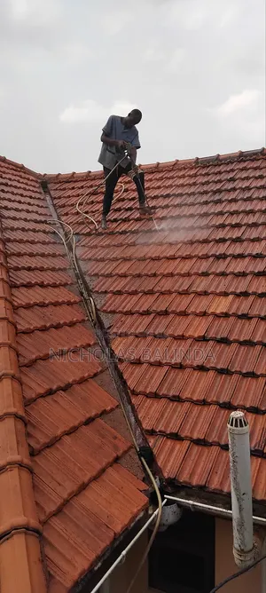 Roof Tiles Cleaning