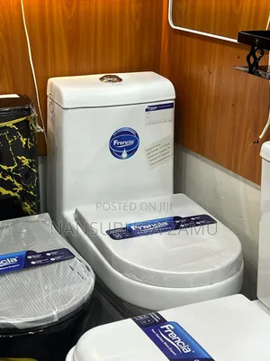 Toilet Seat