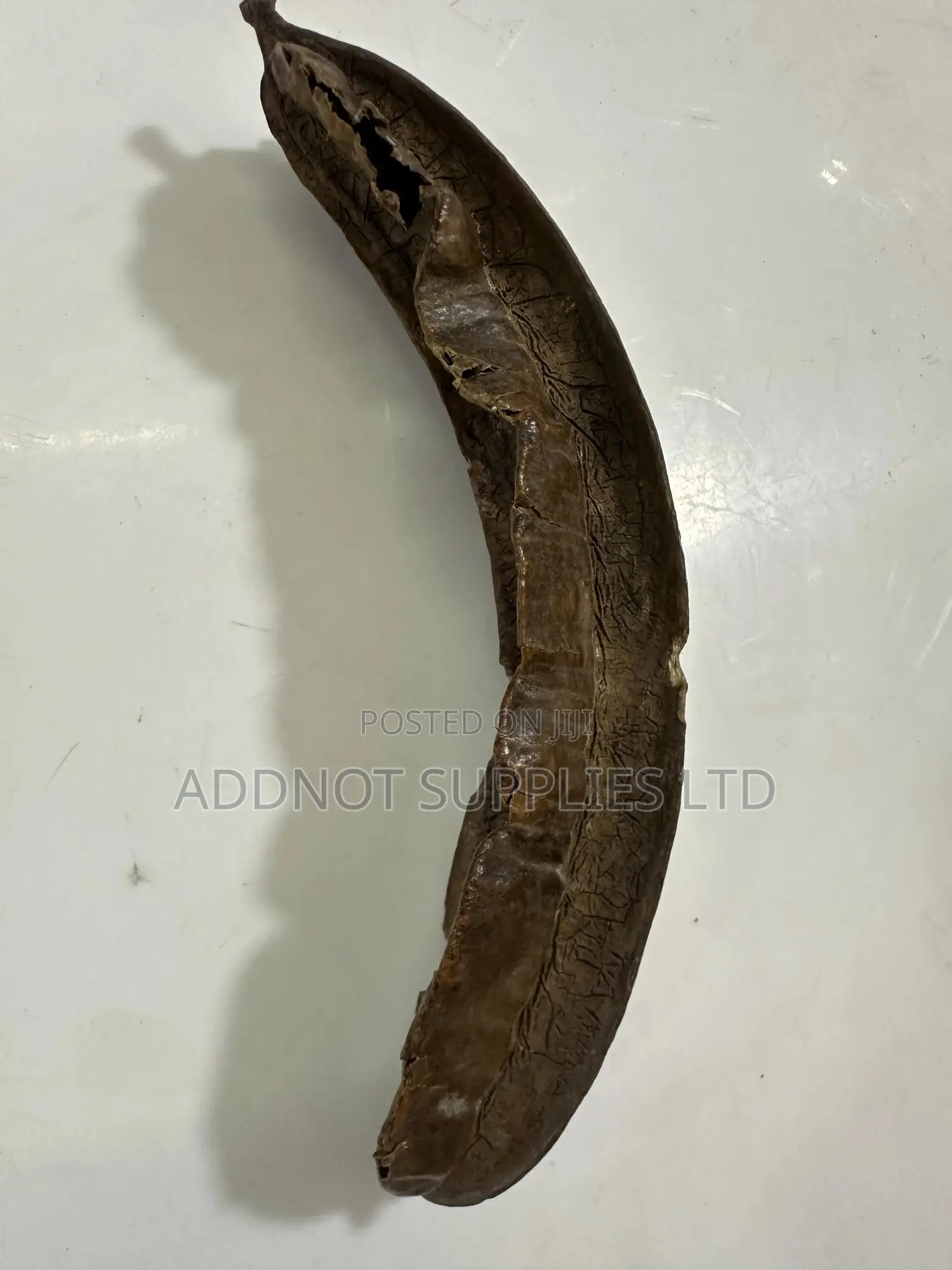Aidan Fruit, Also Known as Prekese or Tetrapleura Tetraptera Per Piece