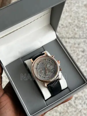 Patek Philips Genuine Chronographic Watch