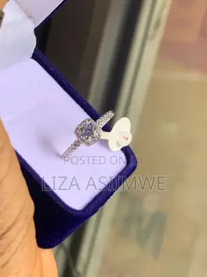 Sparkle on a Budget:The Affordability and Brilliance