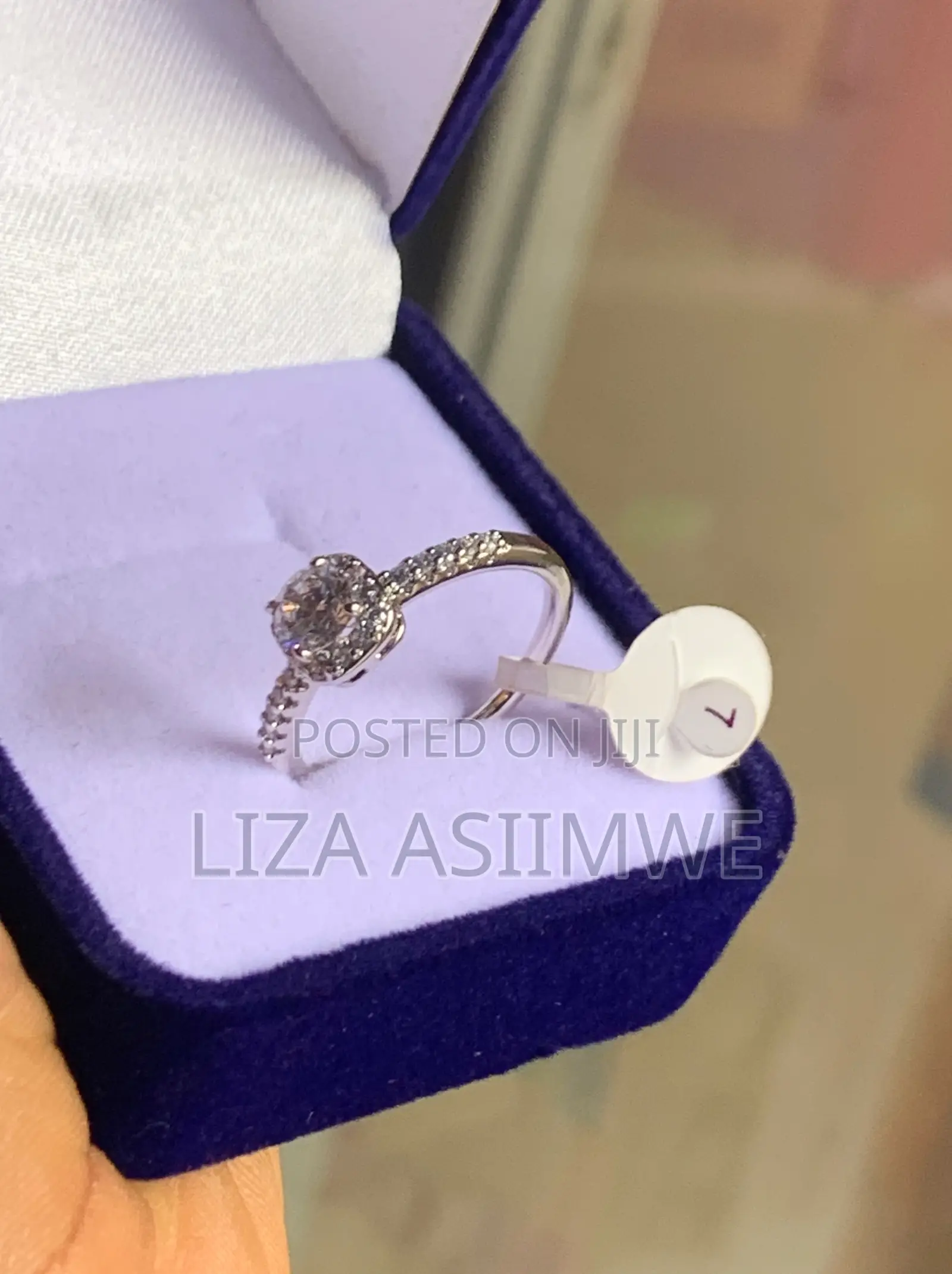Sparkle on a Budget:The Affordability and Brilliance