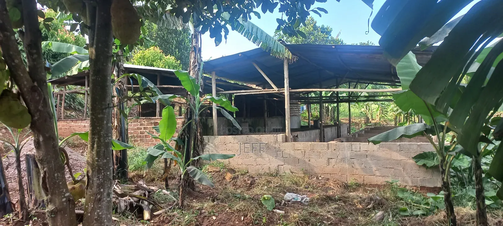 Farm With Banana, Piggery And Chicken Houses For Rent