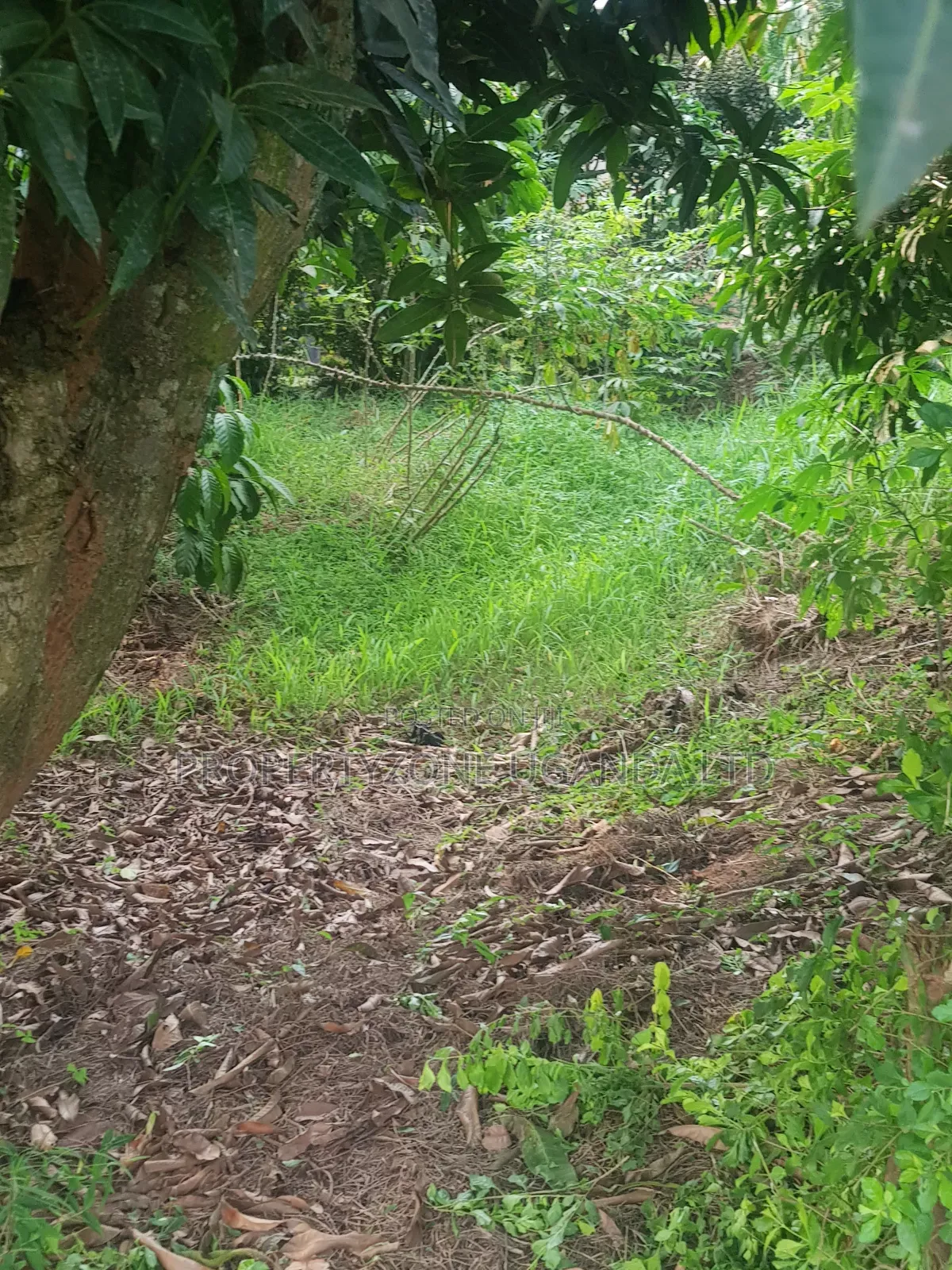 Half an Acre for Sale in Kawanda