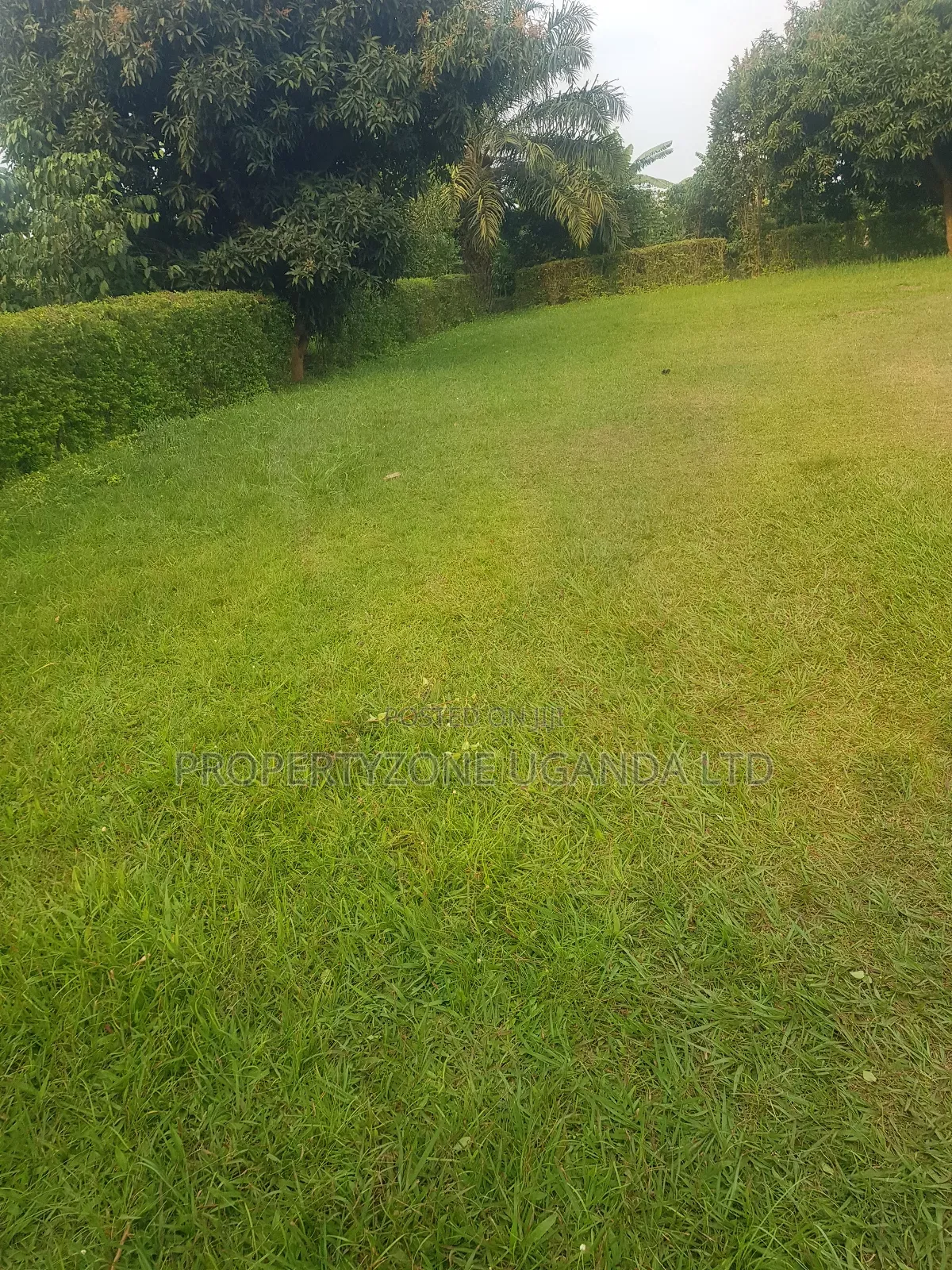Half an Acre for Sale in Kawanda