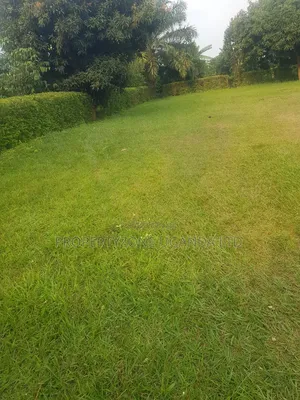 Half an Acre for Sale in Kawanda