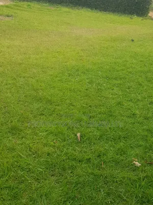 Half an Acre for Sale in Kawanda