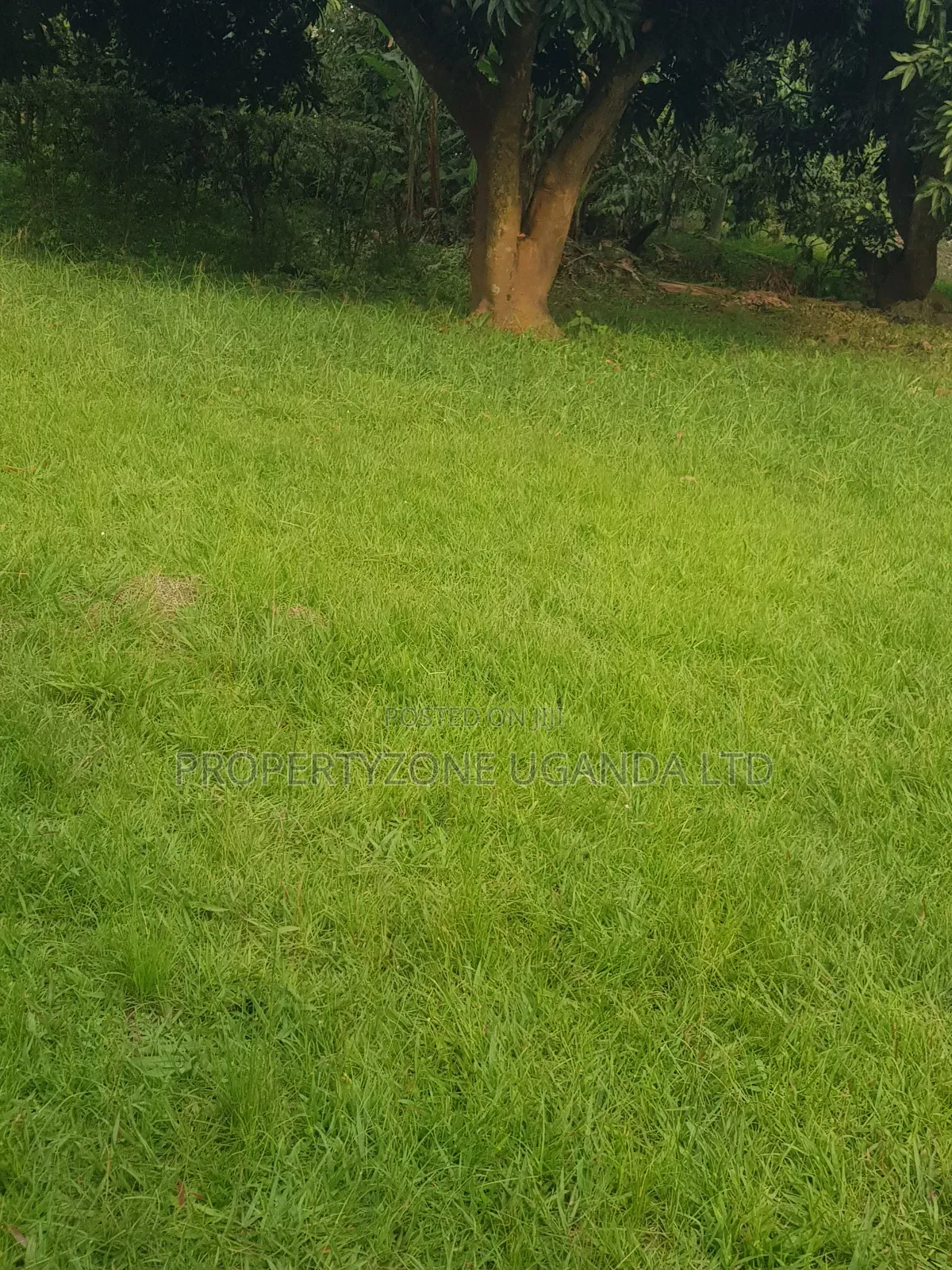 Half an Acre for Sale in Kawanda