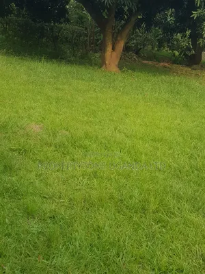 Half an Acre for Sale in Kawanda