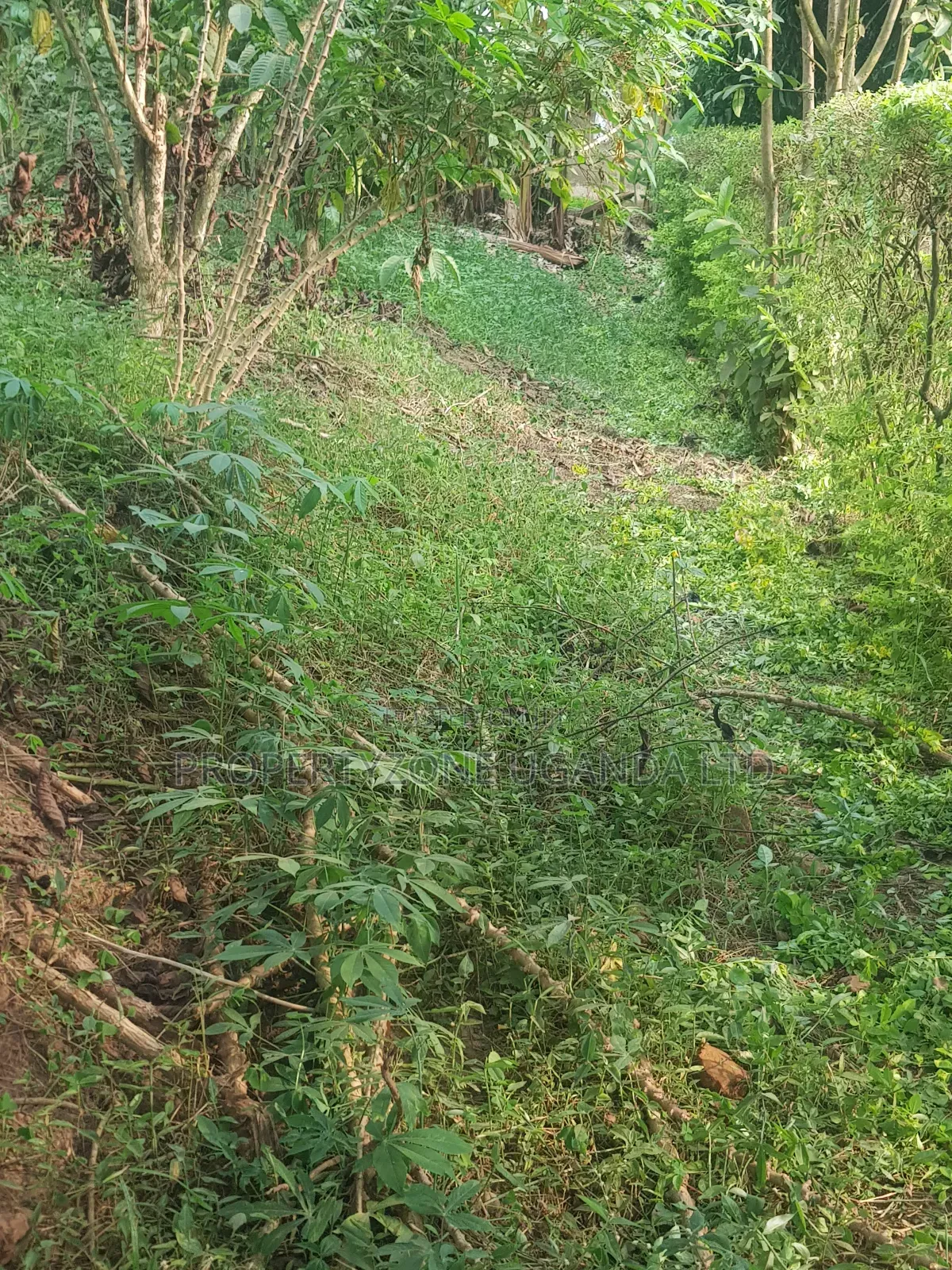 Half an Acre for Sale in Kawanda