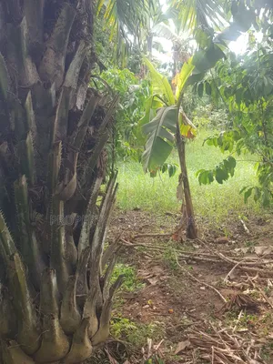 Half an Acre for Sale in Kawanda