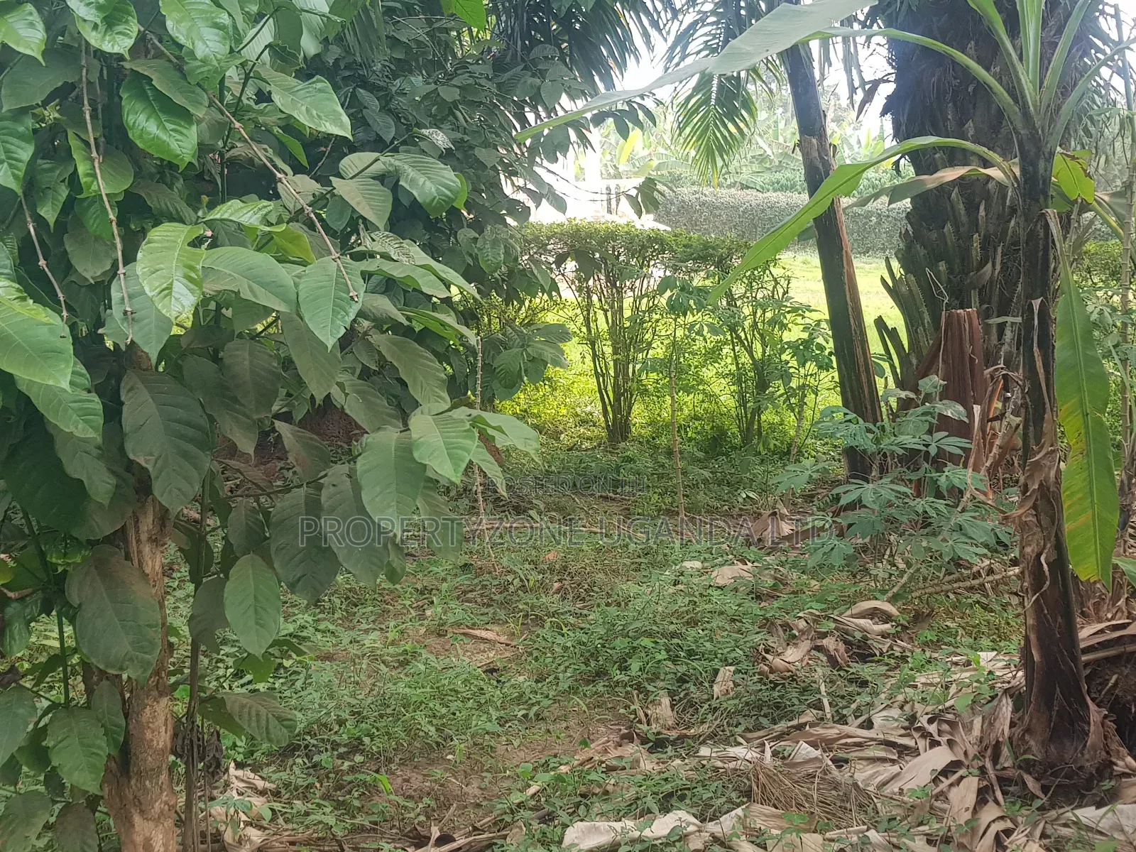 Half an Acre for Sale in Kawanda