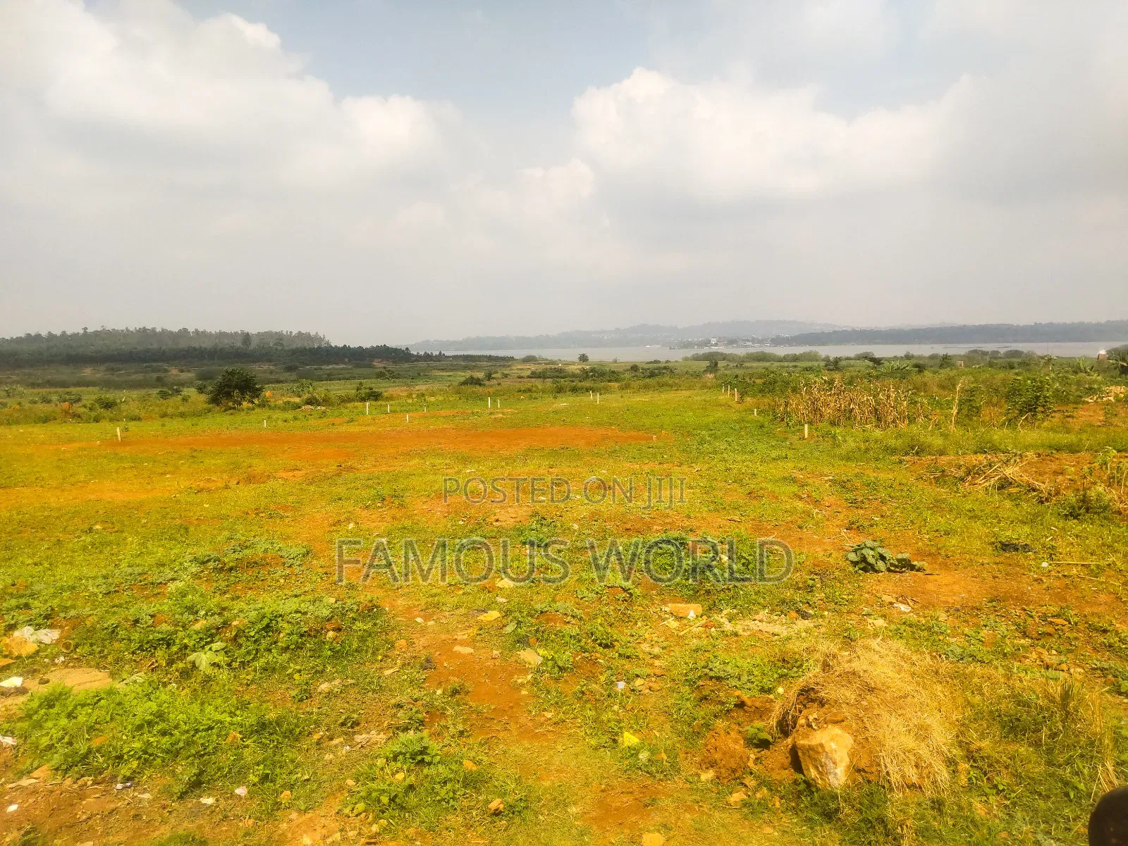 Nkumba Central Entebbe Lake View Plots on Sale