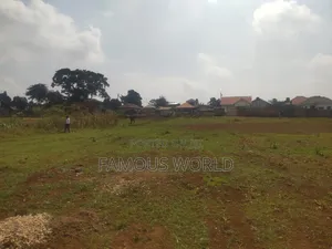 Nkumba Central Entebbe Lake View Plots on Sale