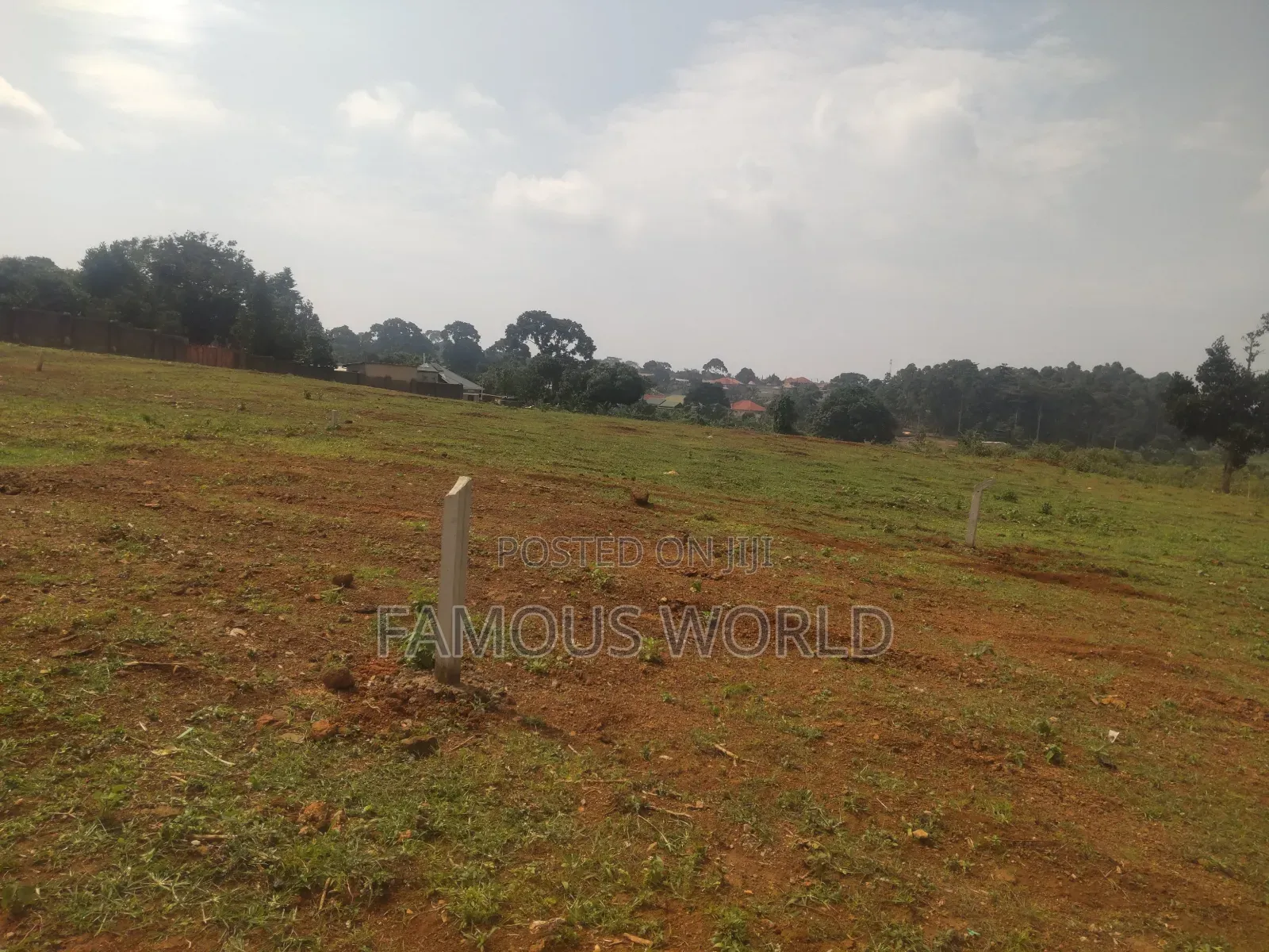 Nkumba Central Entebbe Lake View Plots on Sale