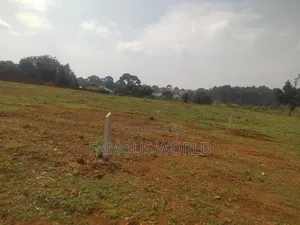 Nkumba Central Entebbe Lake View Plots on Sale