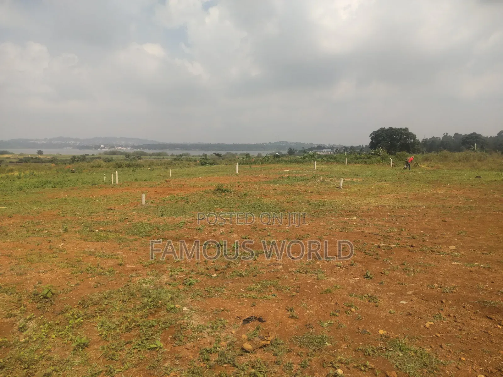 Nkumba Central Entebbe Lake View Plots on Sale