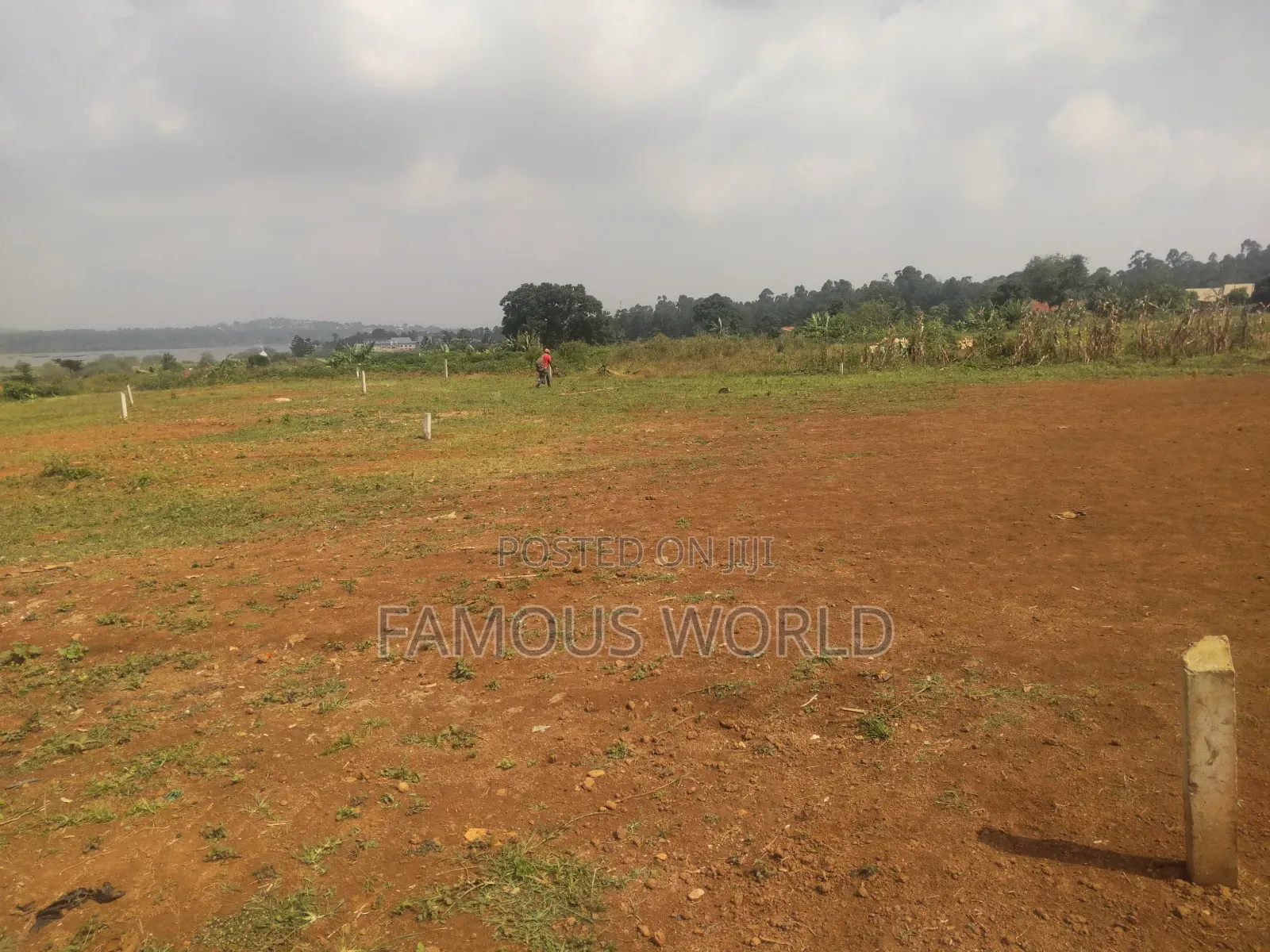 Nkumba Central Entebbe Lake View Plots on Sale