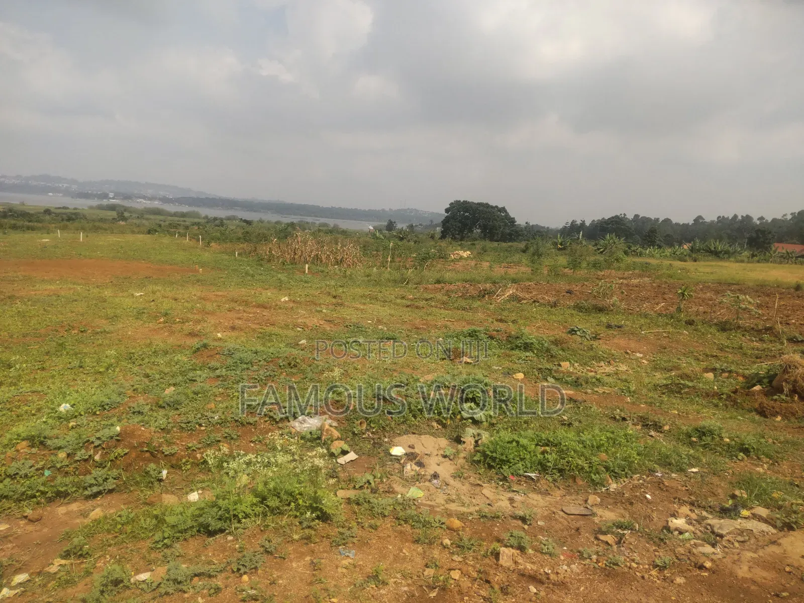 Nkumba Central Entebbe Lake View Plots on Sale