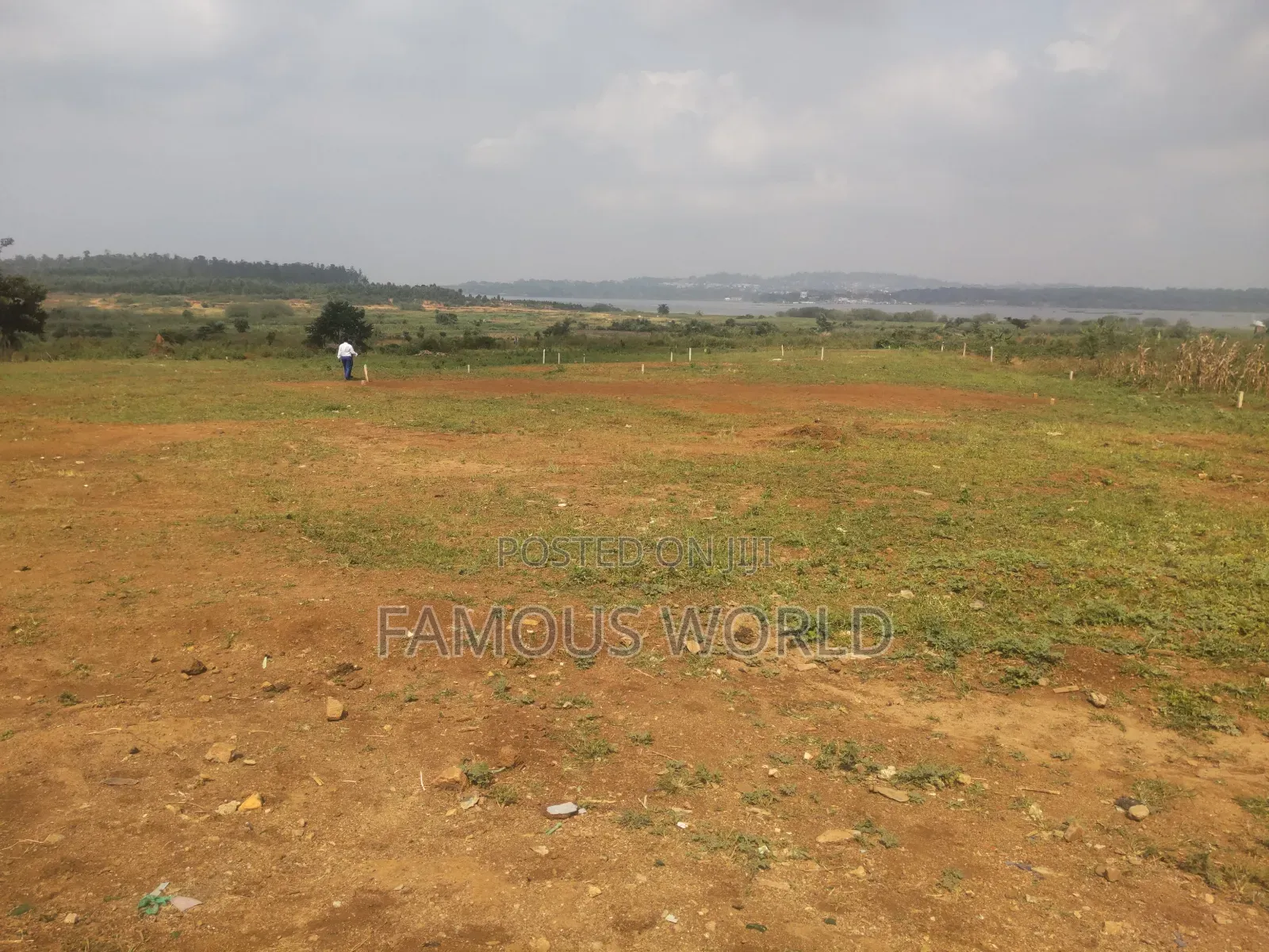 Nkumba Central Entebbe Lake View Plots on Sale