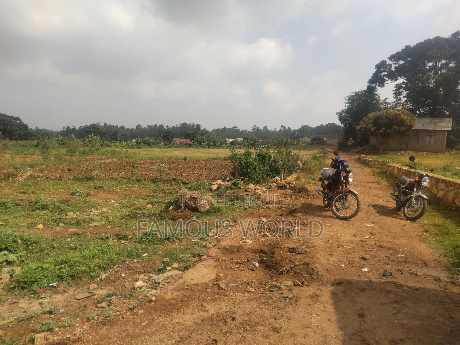 Nkumba Central Entebbe Lake View Plots on Sale