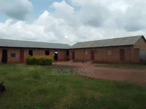 Photo - Primary School