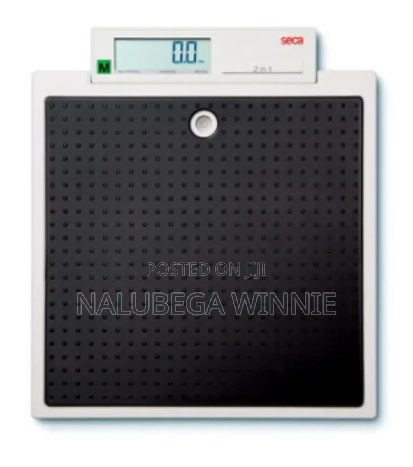 Seca Weighing Scale
