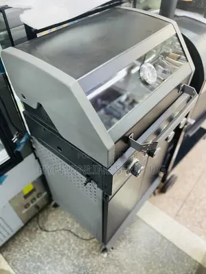 Original Gas BBQ Grilling Delicious Machine