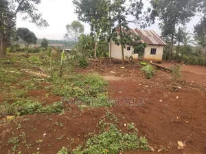 Plot on Sale in Buyegge Kasanje
