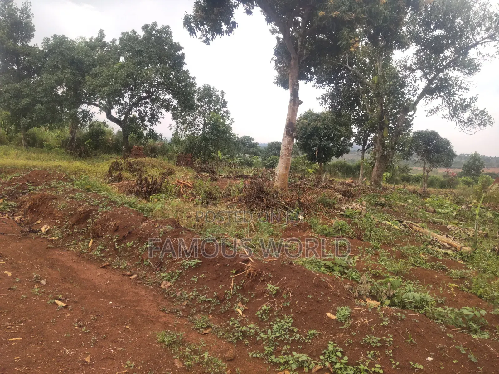 Plot on Sale in Buyegge Kasanje