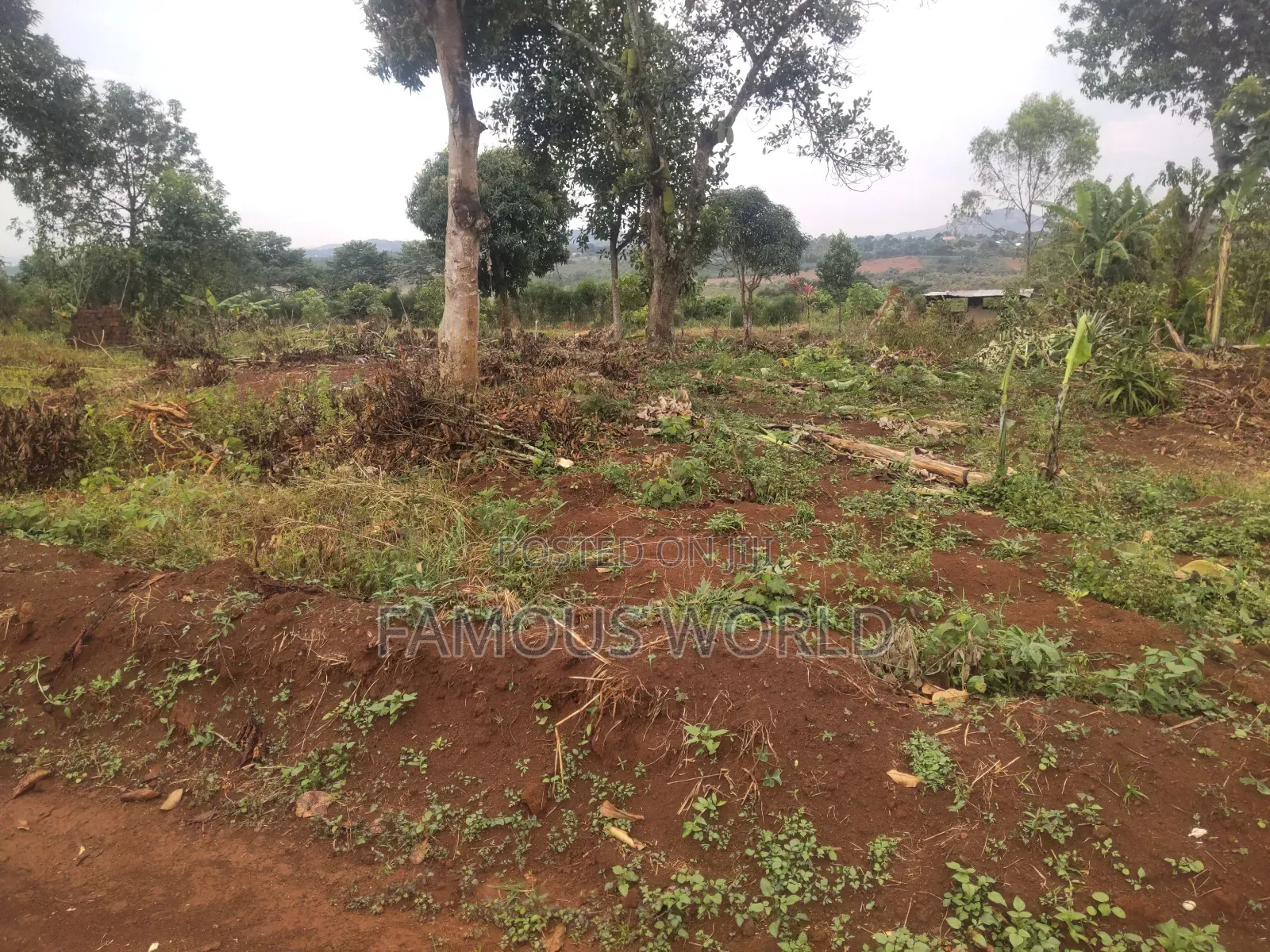 Plot on Sale in Buyegge Kasanje