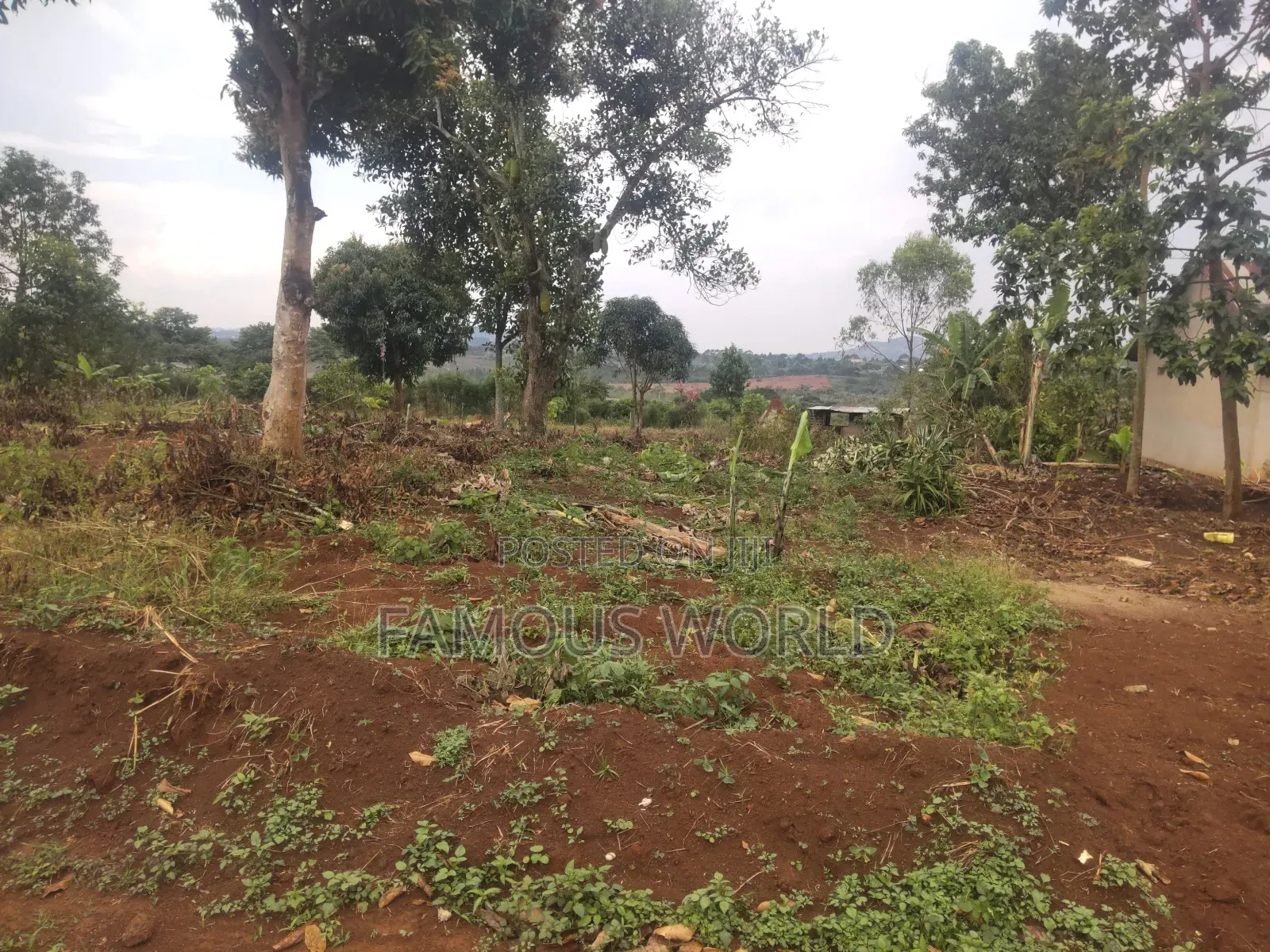 Plot on Sale in Buyegge Kasanje