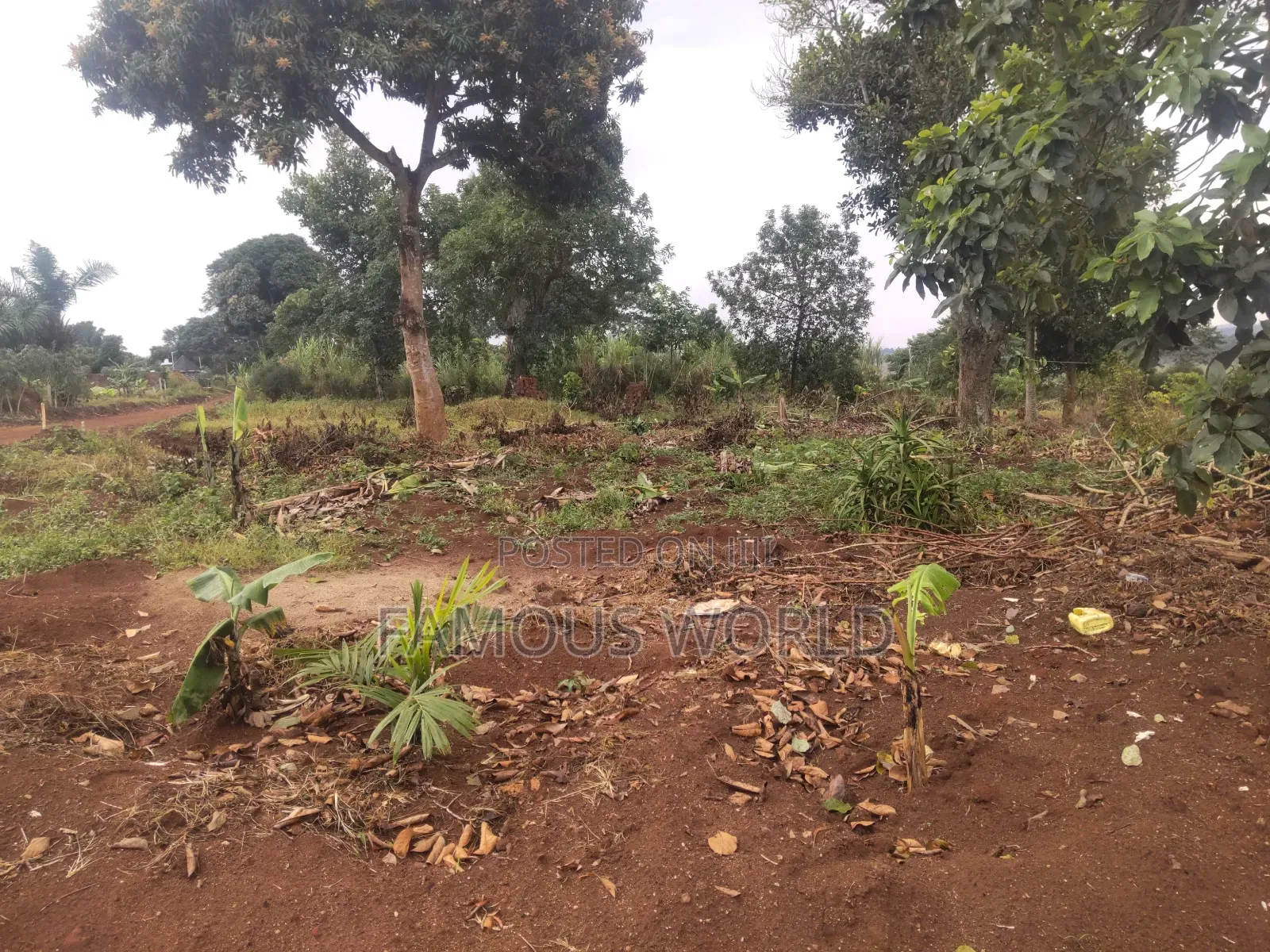 Plot on Sale in Buyegge Kasanje