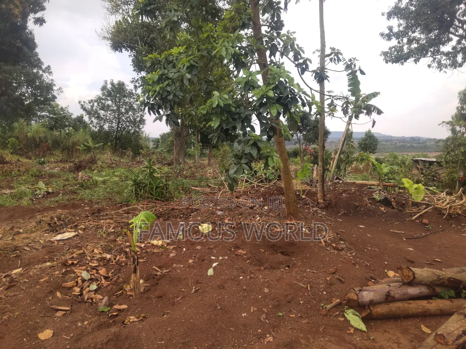 Plot on Sale in Buyegge Kasanje