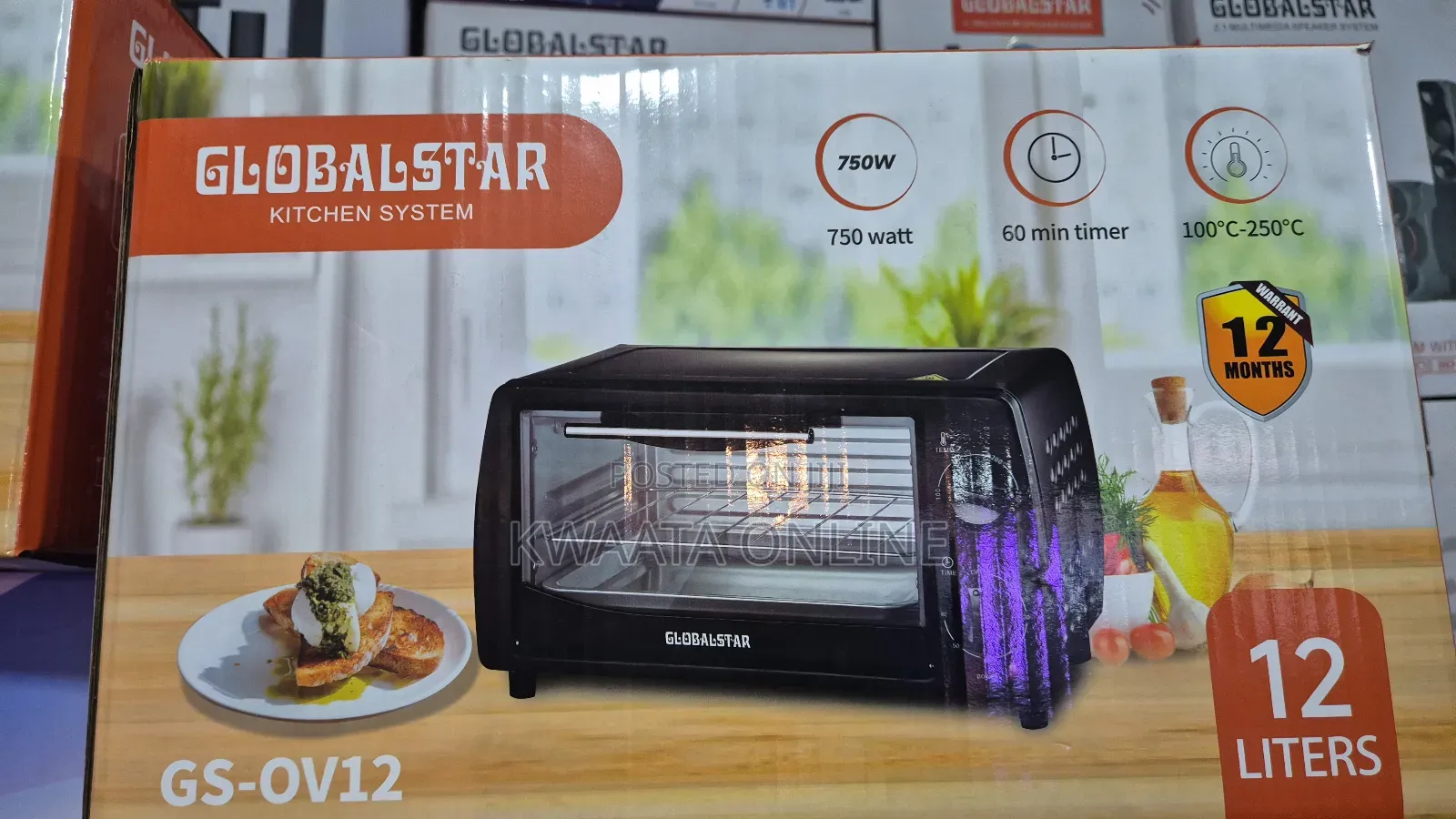 48l Global Star Electric Oven With Rotisserie Hot Plate