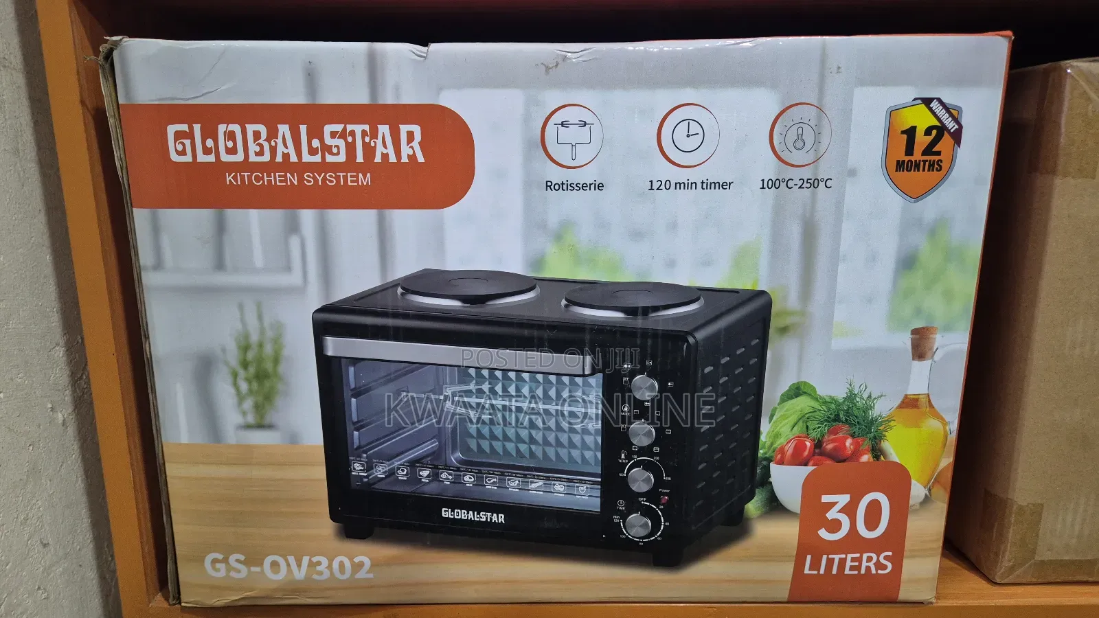 48l Global Star Electric Oven With Rotisserie Hot Plate