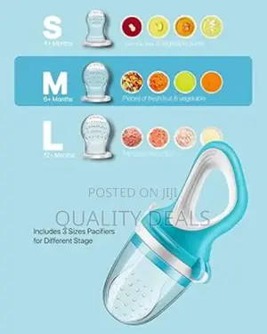 Baby Fresh Food Feeder