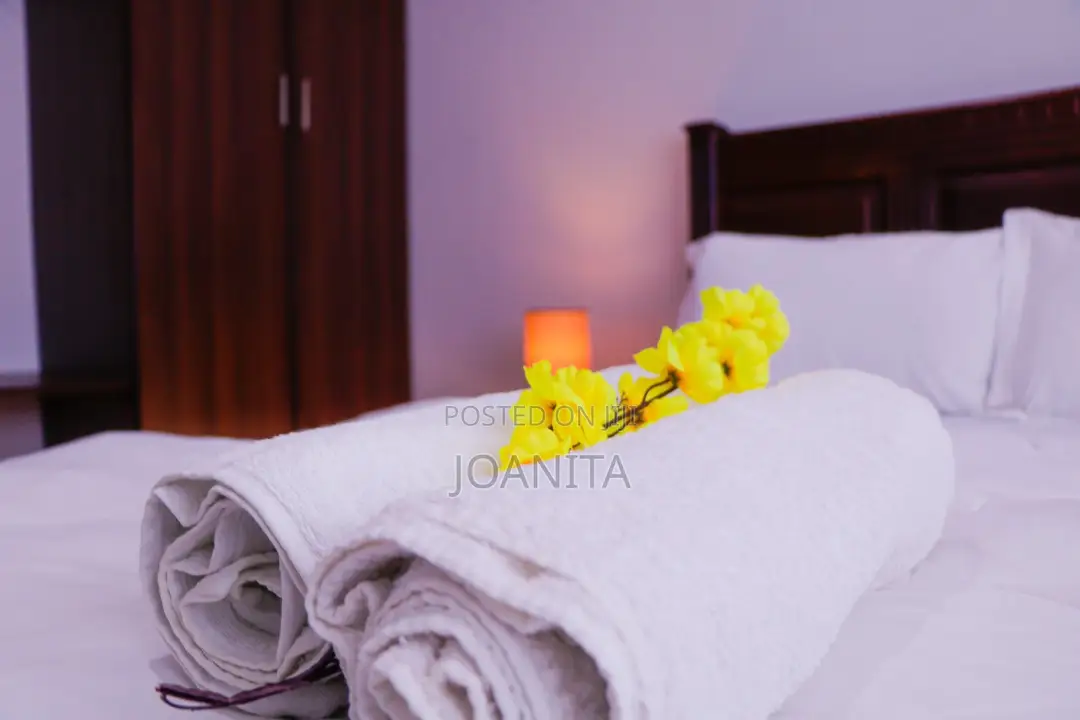 Furnished 1bdrm Apartment in Bunga, Makindye for rent