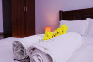 Furnished 1bdrm Apartment in Bunga, Makindye for rent